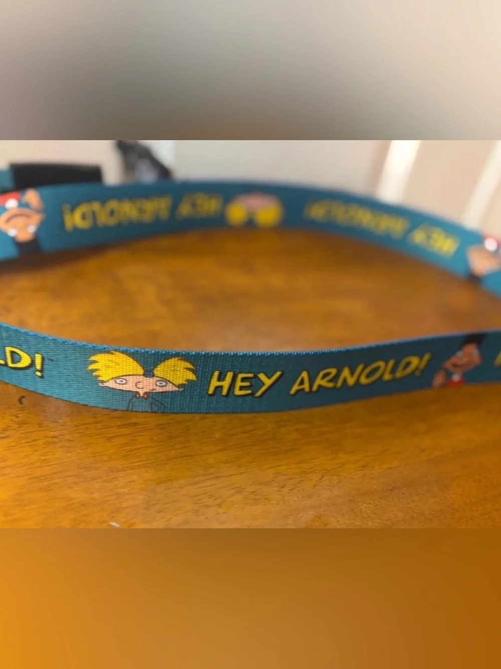 Teal Hey Arnold! Graphic Web Belt for Men